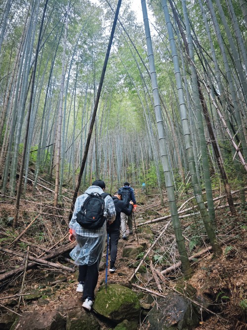 【乌峰探秘 绿动创力】创力集团成功举办2026年春季徒步活动(图8)