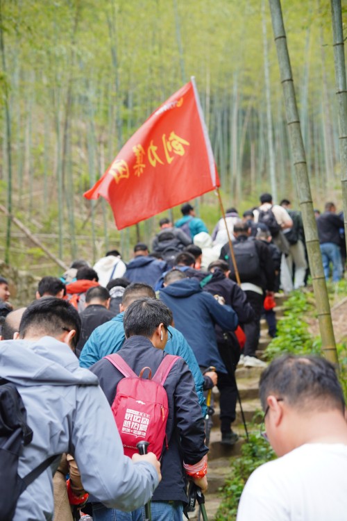 【乌峰探秘 绿动创力】创力集团成功举办2026年春季徒步活动(图6)
