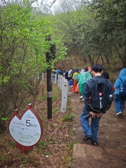 【乌峰探秘 绿动创力】创力集团成功举办2026年春季徒步活动(图9)