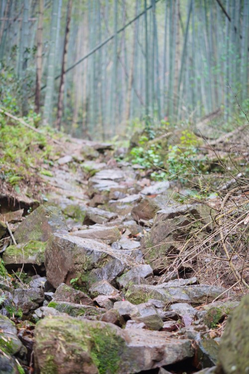 【乌峰探秘 绿动创力】创力集团成功举办2026年春季徒步活动(图3)