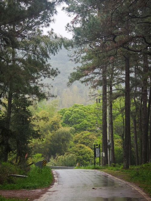 【乌峰探秘 绿动创力】创力集团成功举办2026年春季徒步活动(图2)